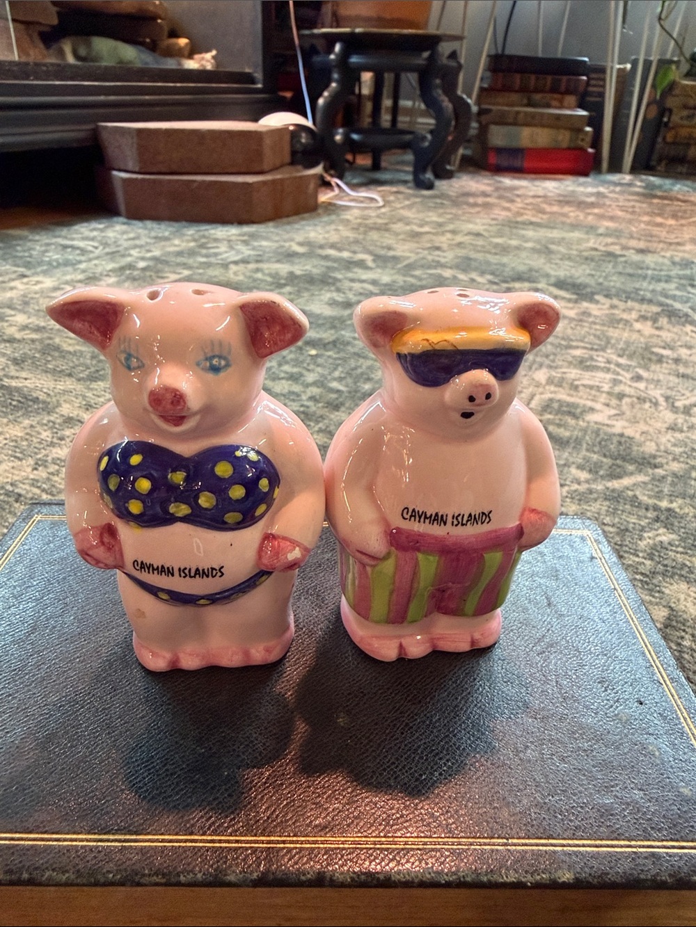 Cayman Islands Pink Pig Salt and Pepper Shakers Set